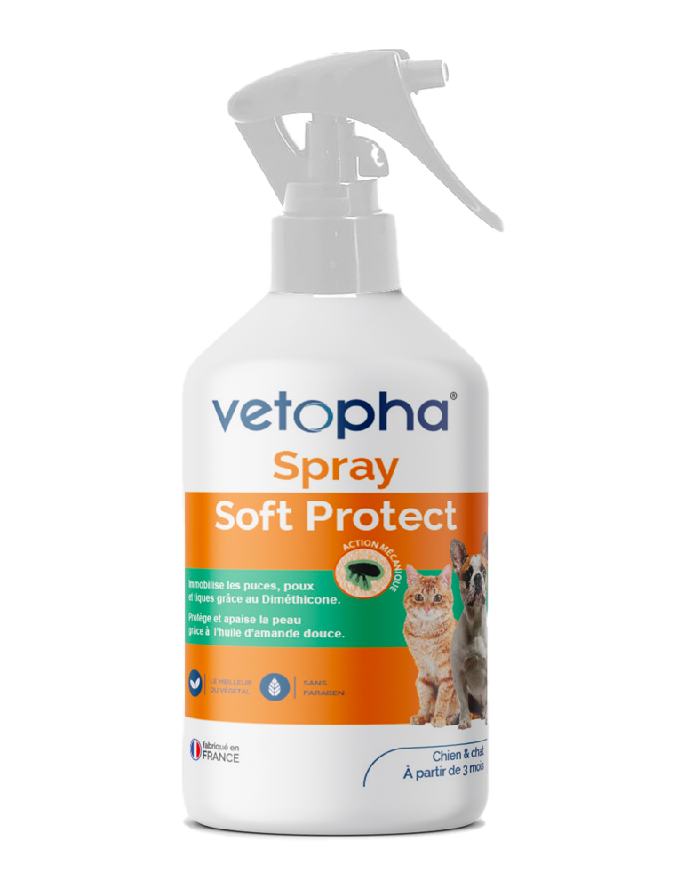 WERPOWER Spray anti-griffures pour chat et spray dissuasif pour chat,  violet : : Animalerie