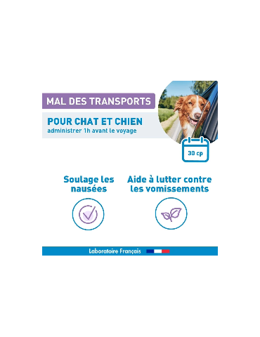 Description du produit mal des transports vetoform