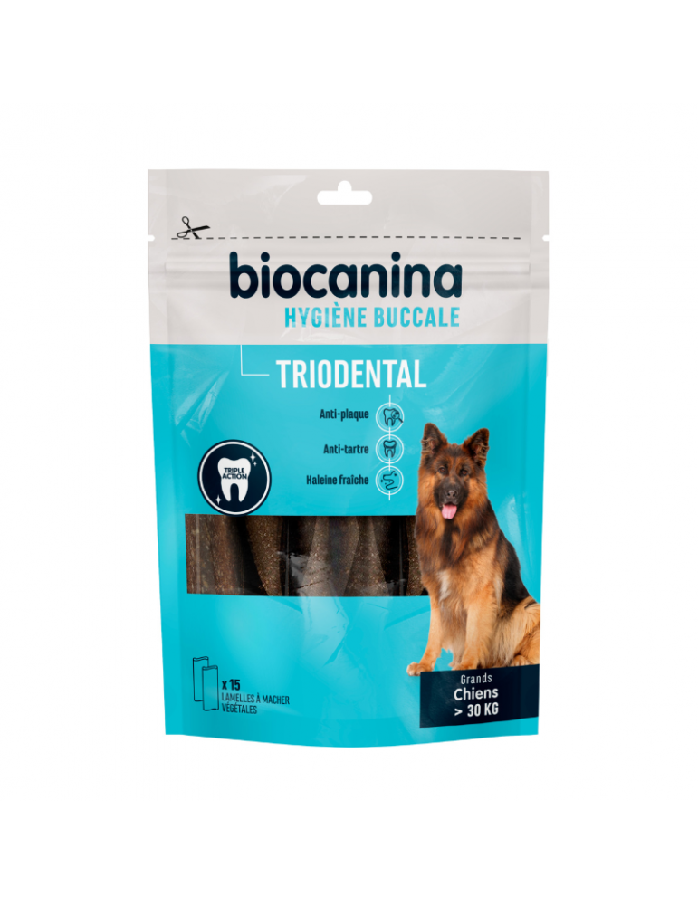 Sachet de triodental pour grand chien