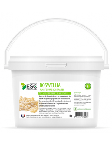 Seau de Boswellia Serrata 1 kg esc