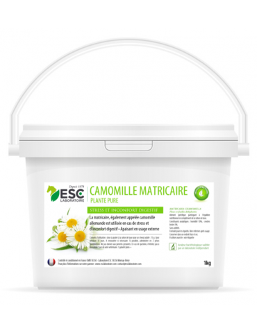 Camomille Matricaire 1 kg