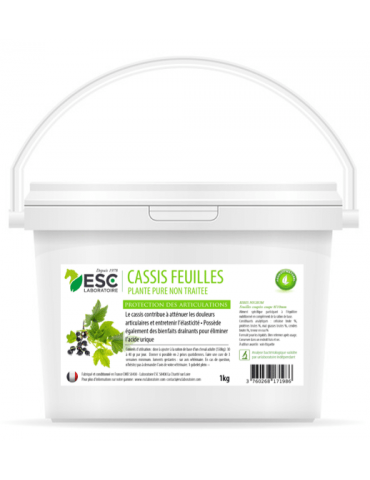 Seau de Cassis 1 kg esc