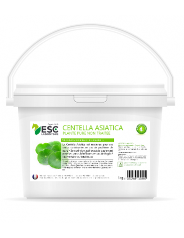 Seau de Centella Asiatica 1 kg