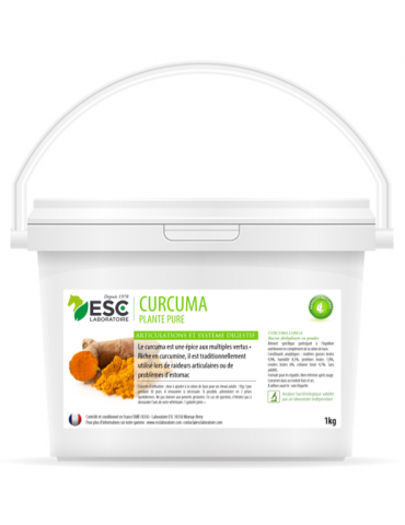 Seau de Curcuma 1 kg ESC