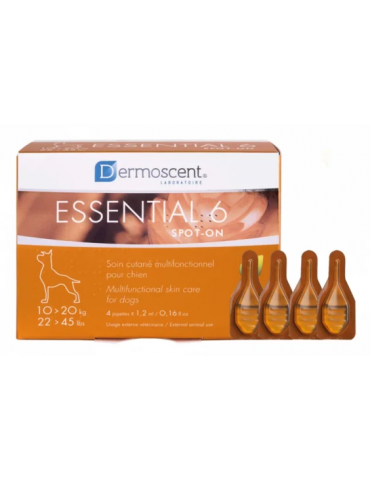 Boîte de Dermoscent Essential 6 chien de 10 à 20 kg