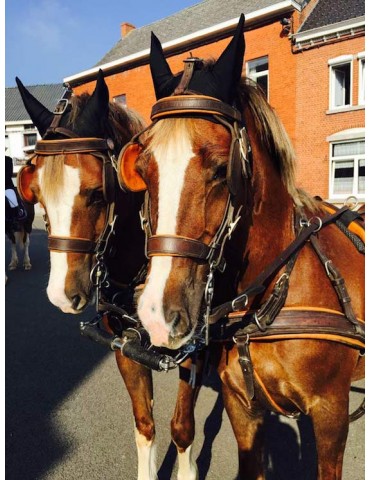 2 chevaux avec bonnets ANTIFLY PROTECT